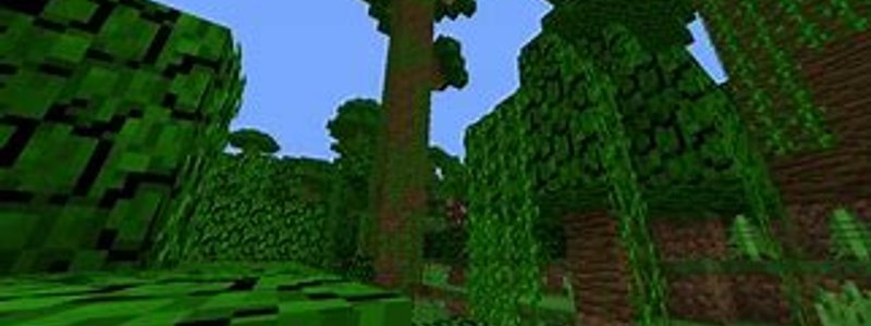 &iquest;CUANTO SABES DE MINECRAFT?