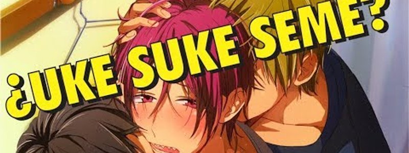 Que eres uke,seme o suke 