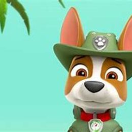 &iquest;Cu&aacute;l es la frase de Tracker? - &iquest;CU&Aacute;NTO SABES DE PAW PATROL?