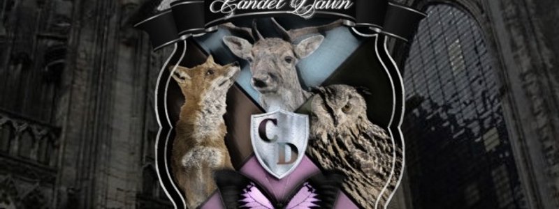 Cu&aacute;l es tu casa de CandelDawn?