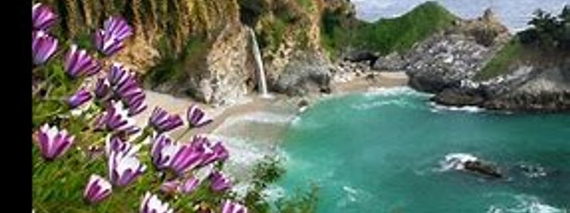 TEST: CIENCIAS NATURALES