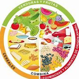 PLATO DEL BUEN COMER: Elige el orden correcto de la clasificaci&oacute;n de los siguientes alimentos: Elote, manteca, mantequilla, queso, br&oacute;coli. - TEST: CIENCIAS NATURALES