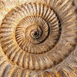 &iquest;Qu&eacute; es la estratificaci&oacute;n? - TEST: CIENCIAS NATURALES