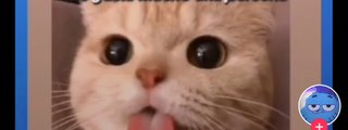 Eres celos@?