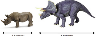 Que animal o dinosaurio eres