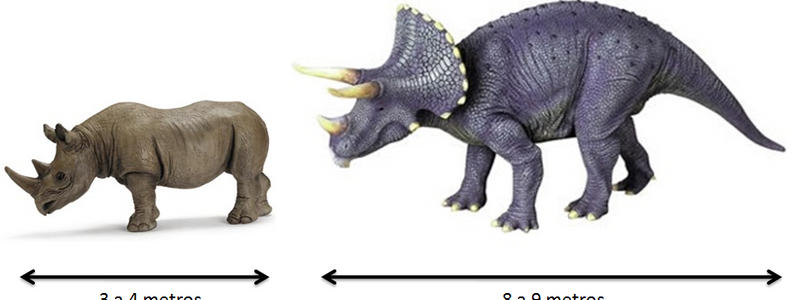 Que animal o dinosaurio eres