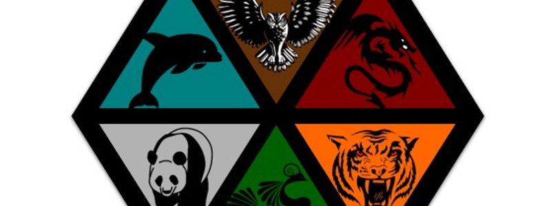 &iquest;Que casa de Elementare eres?