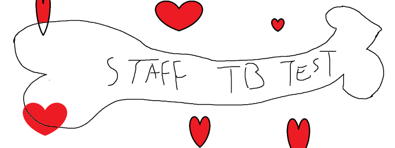 Staff The Basement