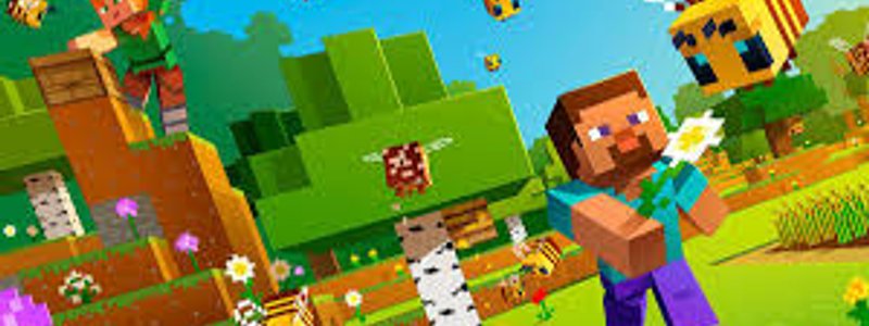 cuantos sabes de minecraft?