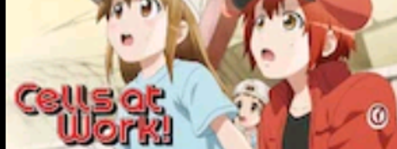 Cuanto sabes de las células -.- (Cells at work)