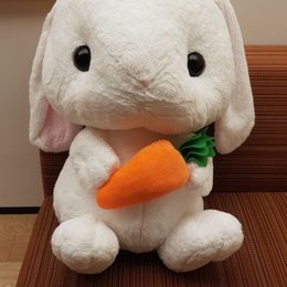 Jaja si eres MOA ya sabes de quien es este peluche.. &iquest;No es cierto? - &iquest;Cu&aacute;nto sabes de TXT? [TOMORROW X TOGETHER]