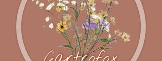 ¿Que casa de Cartrofox eres?