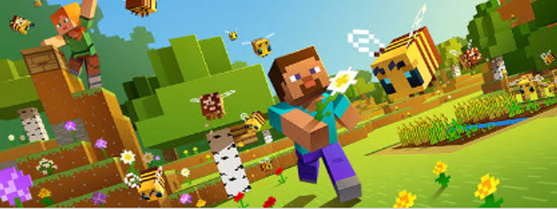 Cuanto sabes de minecraft
