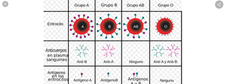 que tipo de Covid eres segun tu grupo sanguineo?