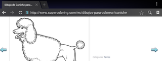 que es un animal de poder en realidad?pues son aquellos animales que podrimos haber tenido pero no fue asi!