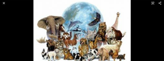 conmemoracion a todos los animales prehistoricos hoy extintos!