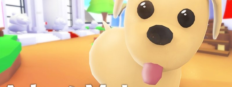 ¿Qué tanto sabes de Adopt Me?
