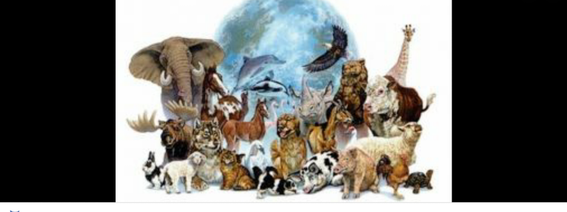 conmemoracion u homenaje de todos los animales prehistoricos o primitivos!