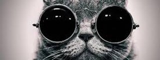 ¿Qué personaje en una historia de Wattpad serías?