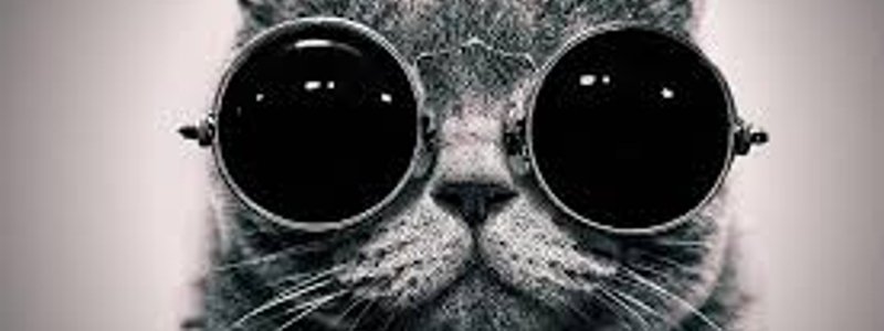 ¿Qué personaje en una historia de Wattpad serías?