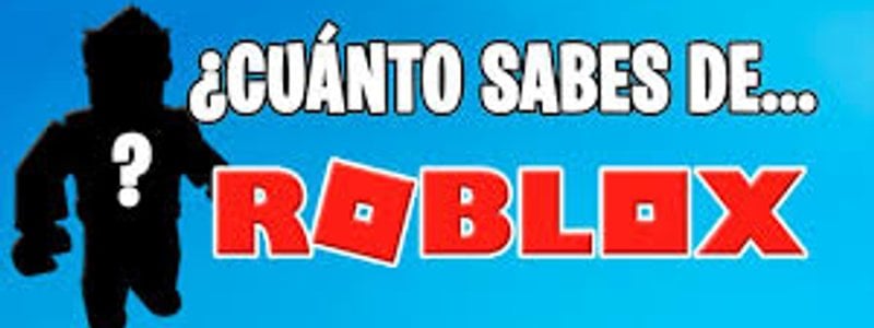 Roblox Pro Test