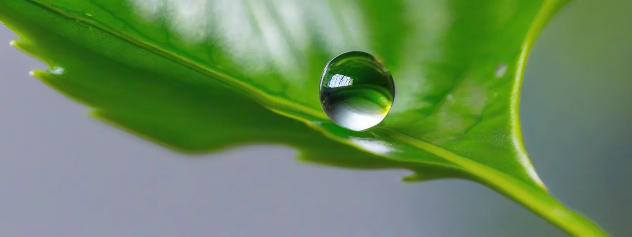 TEST 13 (21 - 40)