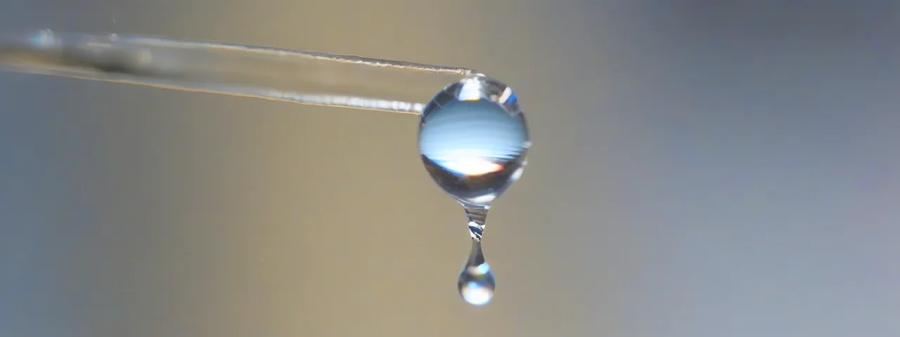 EL AGUA