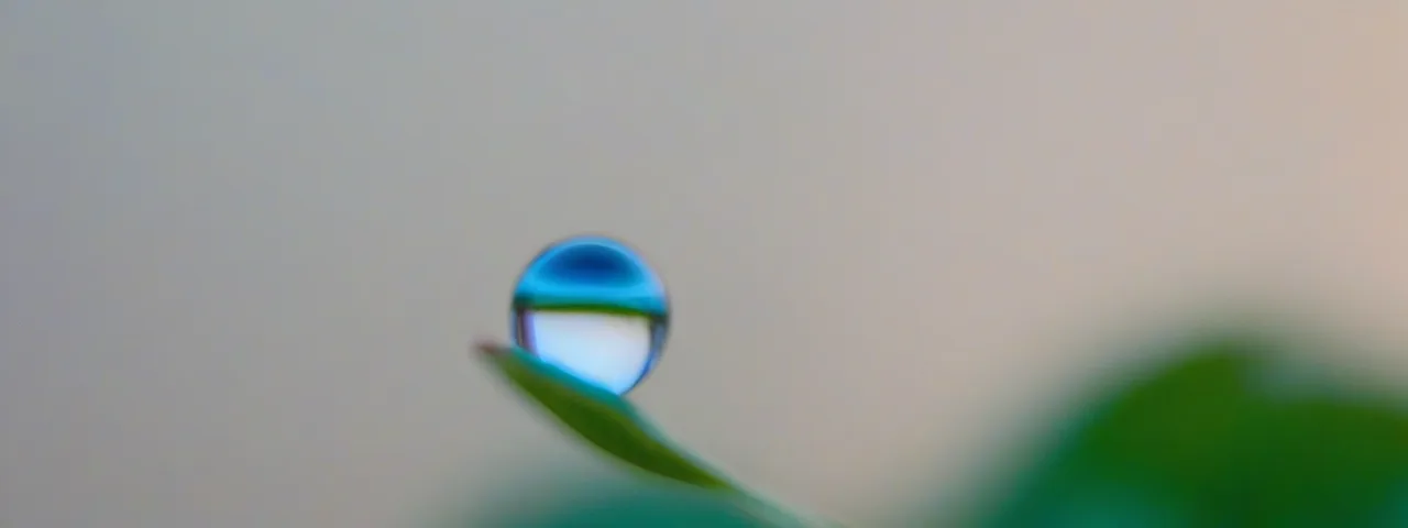 EL AGUA