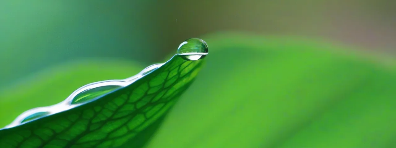 CUIDADO DEL AGUA