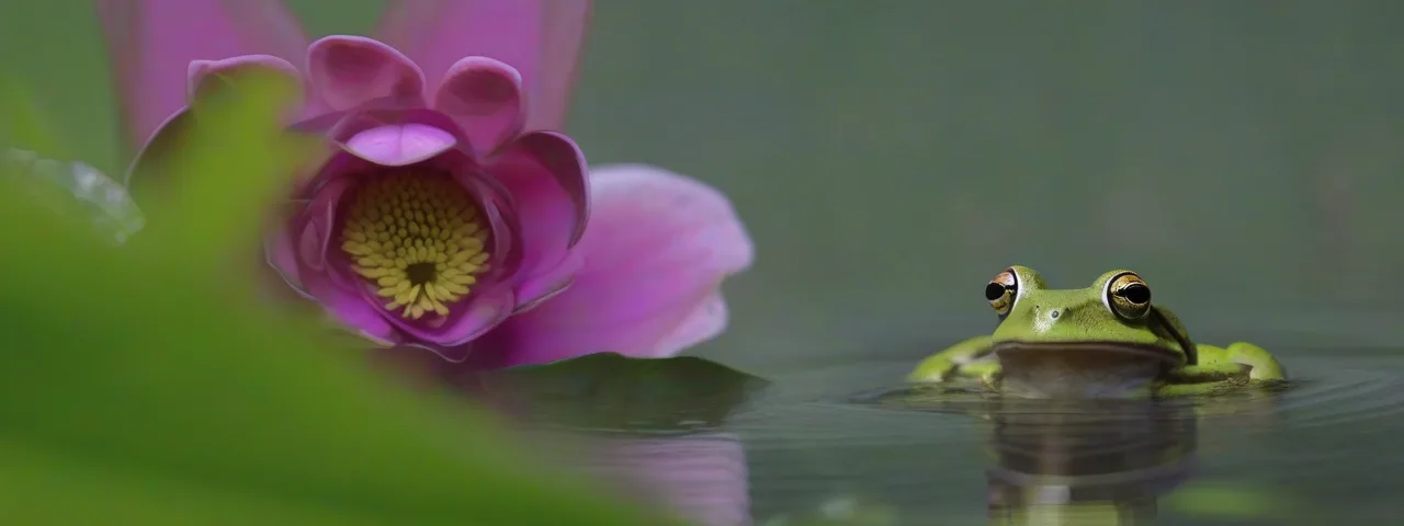 Reproducción y desarrollo en plantas y animales