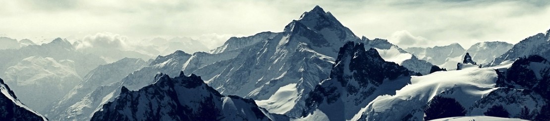 Portada de annaortizcatalan